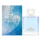 Hollister Wave For Him