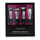 Sigma Beauty Dimensional