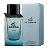 Burberry Mr. Burberry Element